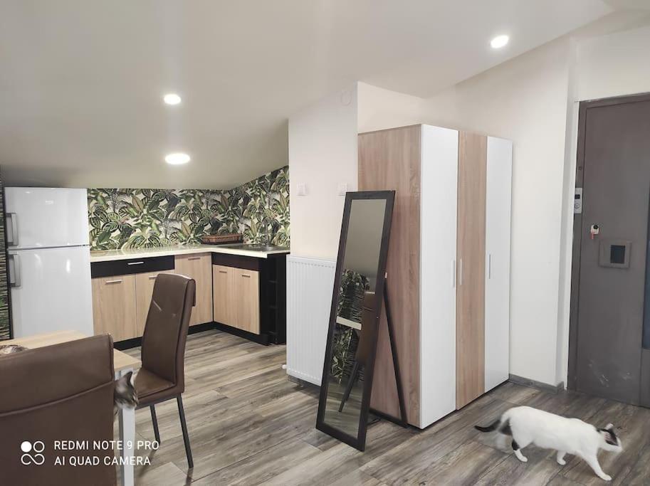 Σοφίτα Καλλύνω Apartment Thessaloníki Ngoại thất bức ảnh